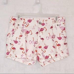 Flamingo beach shorts